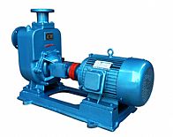 ZW������